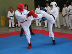 Departamento de Kenpo
